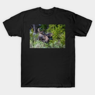 Smile for the Camera T-Shirt